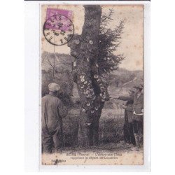 BEINE: l'arbre aux clous rappelant le départ de conscrits - état