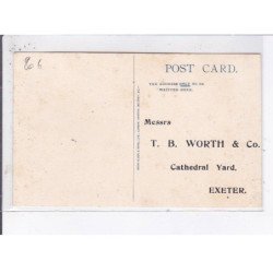 PUBLICITE : matériel de peinture (palette) Artist' material Winsor and Newton's à Exeter - très bon état