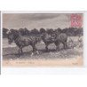 PITHIVIERS: laboureur, chevaux - très bon état