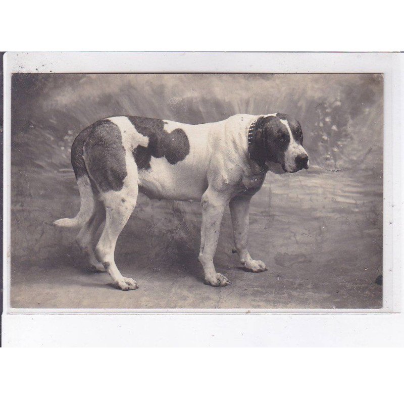 CASTILLONNES: chien, texte militaire - très bon état