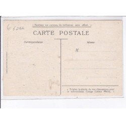 PUBLICITE : cirage creme NAOL (chien et chat noir) - illustrée par Jacques NAM - état