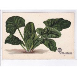 PUBLICITE : série de 12 cartes postales pour les conserves HERO(fruits - légumes) - très bon état