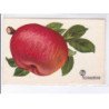 PUBLICITE : série de 12 cartes postales pour les conserves HERO(fruits - légumes) - très bon état