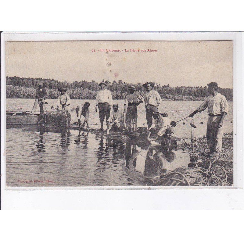 LOT ET GARONNE: la pêche aux aloses - état