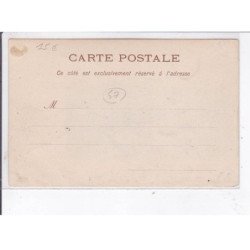 SOUMENSAC: champ de pruniers en fleurs - très bon état