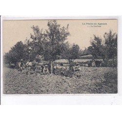 LOT et GARONNE: la prune en agenais, 10 CPA - état