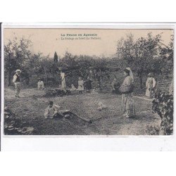 LOT et GARONNE: la prune en agenais, 10 CPA - état