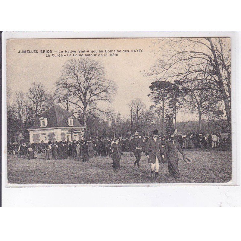JUMELLES-BRION: le rallye viel-anjou au domaine des hayes, la curée, la foule autour de la bête - très bon état