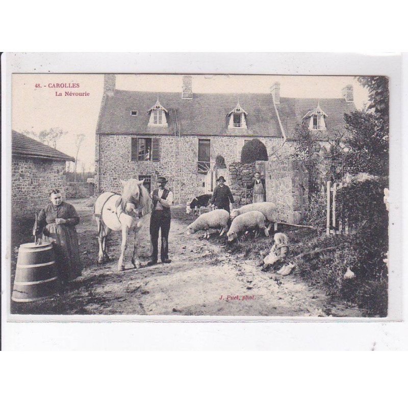 CAROLLES: la névourie - état