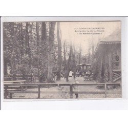 TOGNY-aux-BOEUFS: le jardin vu de la prairie "au robinson châlonnais" - très bon état