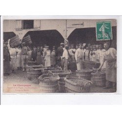MARNE: la champagne travail de la vigne les vendanges pesage du raisin - état