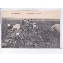 MARNE: les vendanges, la cueillette - très bon état