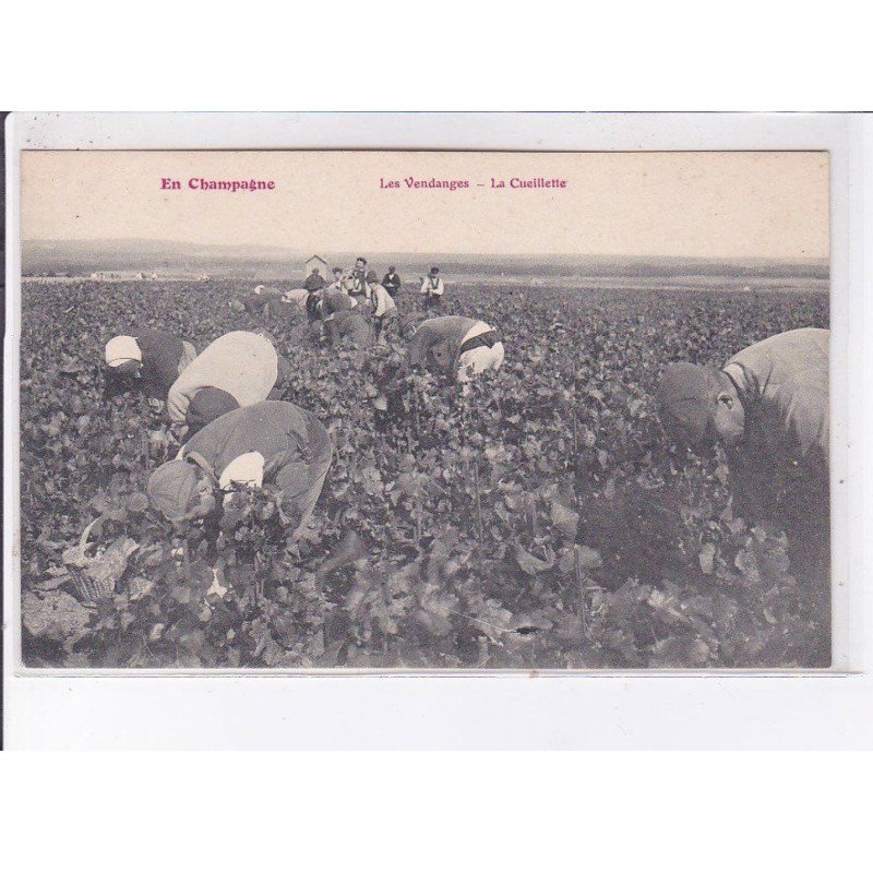 MARNE: les vendanges, la cueillette - très bon état MARNE: les vendanges, la cueillette - très bon état