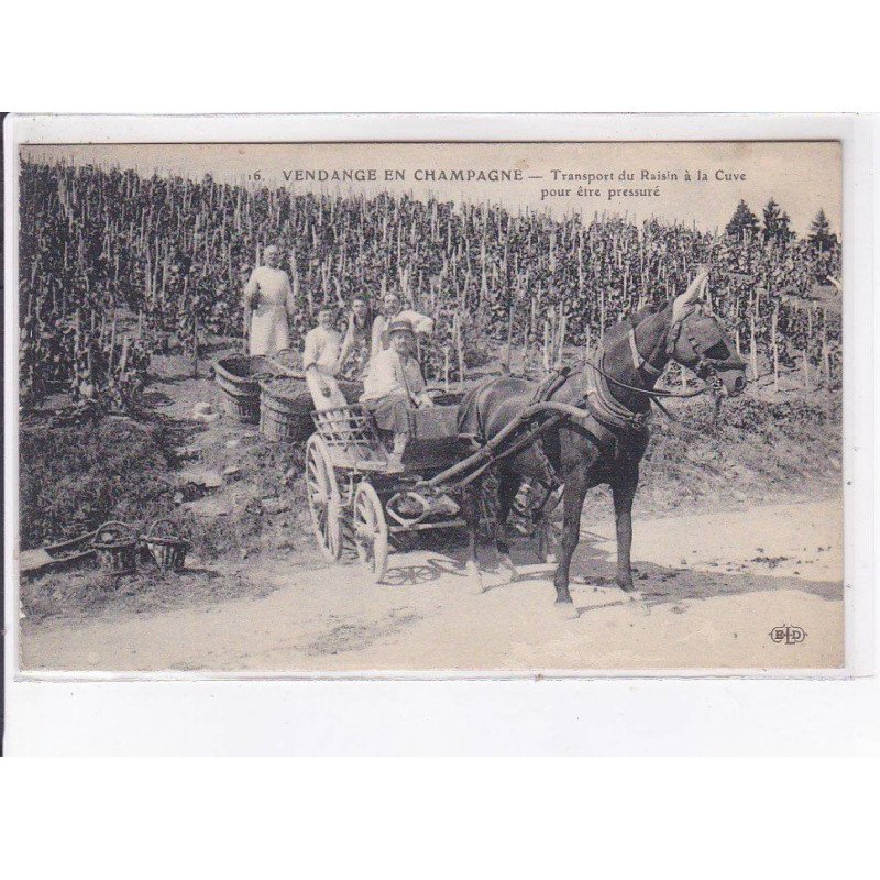 MARNE: transport du raisin à la cuve pour être pressuré, vendange - très bon état MARNE: transport du raisin à la cuve pour être pressuré, vendange - très bon état