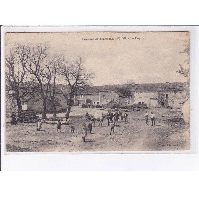 NIJON: le paquis - très bon état