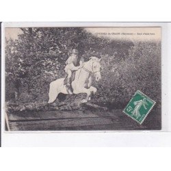 CRAON: courses hippique, saut d'une haie - très bon état