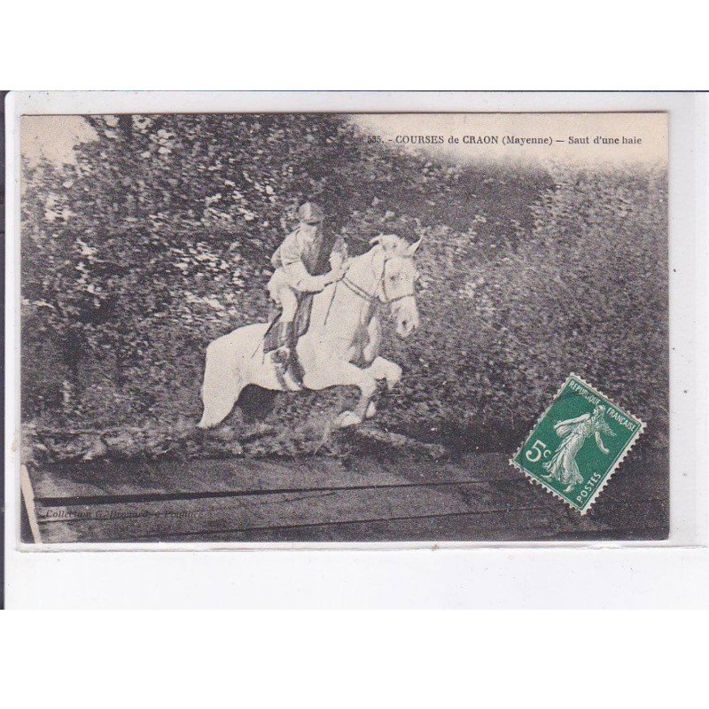 CRAON: courses hippique, saut d'une haie - très bon état