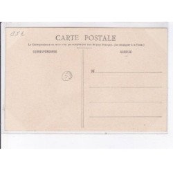 SAINT-SATURNIN-du-LIMET: vue générale - très bon état