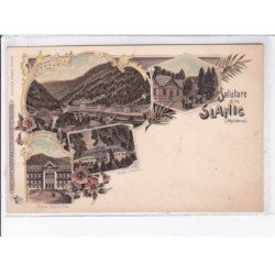 MOLDAVIE: salutare din slanic, moldava - très bon état