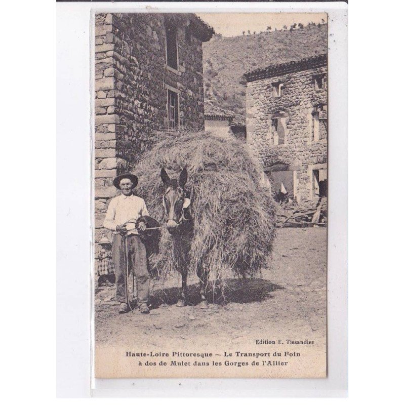 HAUTE-LOIRE: le transport du foin à dos de mulet dans les gorges de l'allier - très bon état