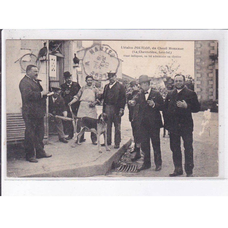 LA CHEVROLIERE: l'étalon polylor du chenil moriceau - état