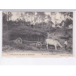 YONNE: l'exploitation des bois en bourgogne, un attelage dans la coupe - très bon état