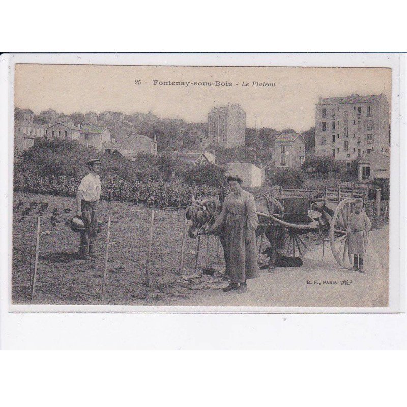 FONTENAY-sous-BOIS: le plateau - très bon état