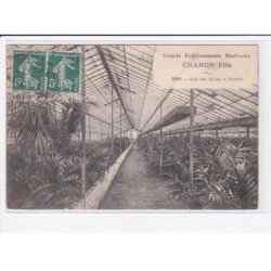 IVRY: grands établissements horticoles, charon fils, une des serres à phoénix - état