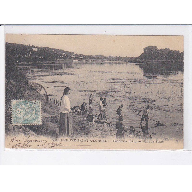 VILLENEUVE-SAINT-GEORGES: pêcheurs d'algues dans la seine - très bon état