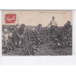 CHABLIS: travaux de la vigne, l'écoulage - très bon état