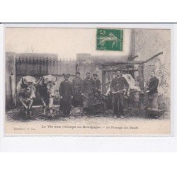 YONNE: la vie aux champs en bourgogne, le ferrage des boeufs - très bon état