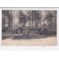 BOISSY-SAINT-LEGER: bois notre-dame (cabane de bûcherons) - très bon état
