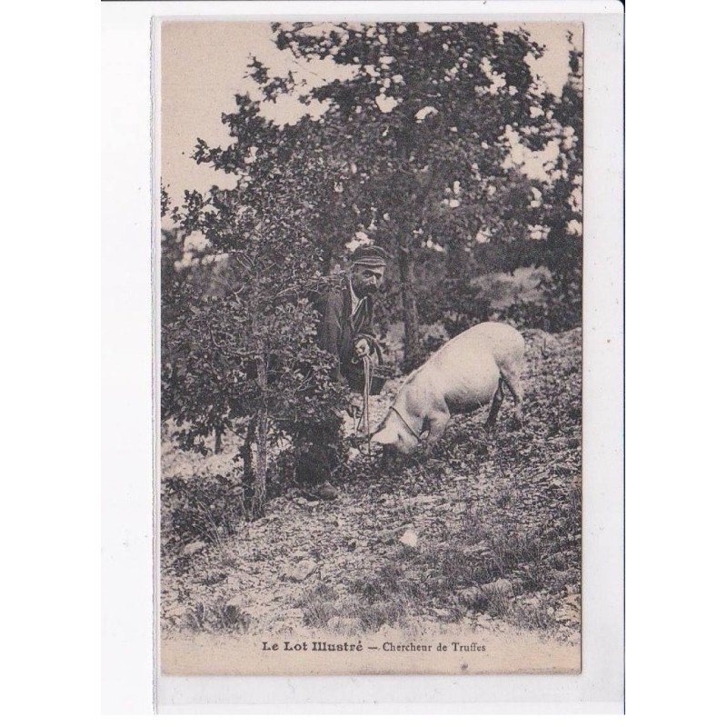 LOT: chercheur de truffes, cochon - très bon état