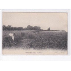 PERIGNY: la moisson - état