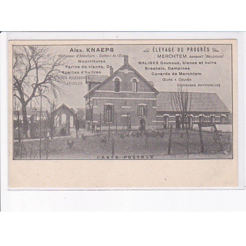 BELGIQUE: BRABANT FLAMAND: aviculture, élevage du progrès, Merchtem - très bon état