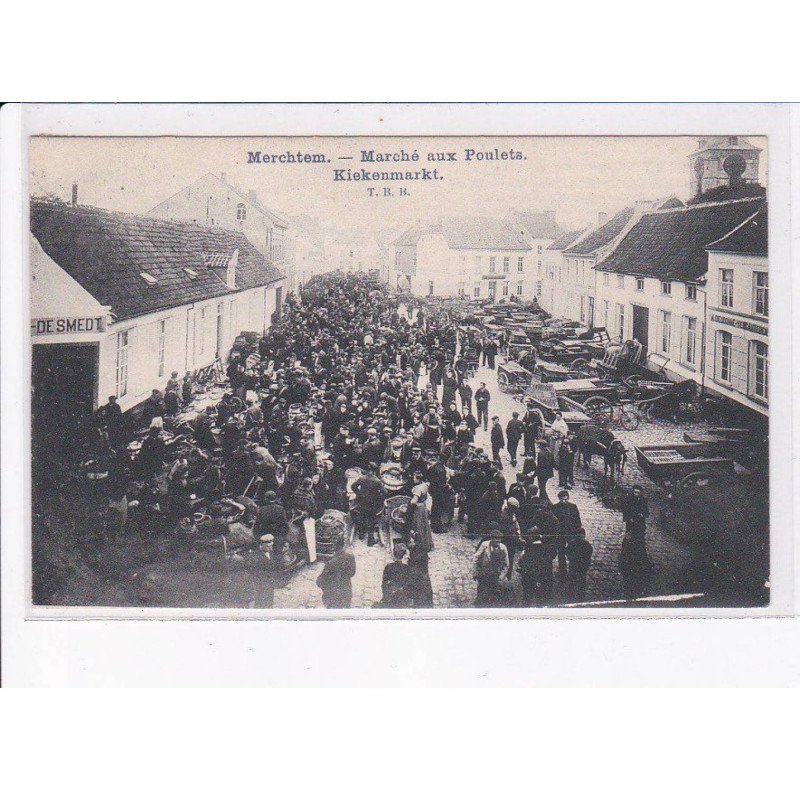 BELGIQUE: BRABANT FLAMAND: MERCHTEM: marché aux poulets kiekenmarkt - très bon état
