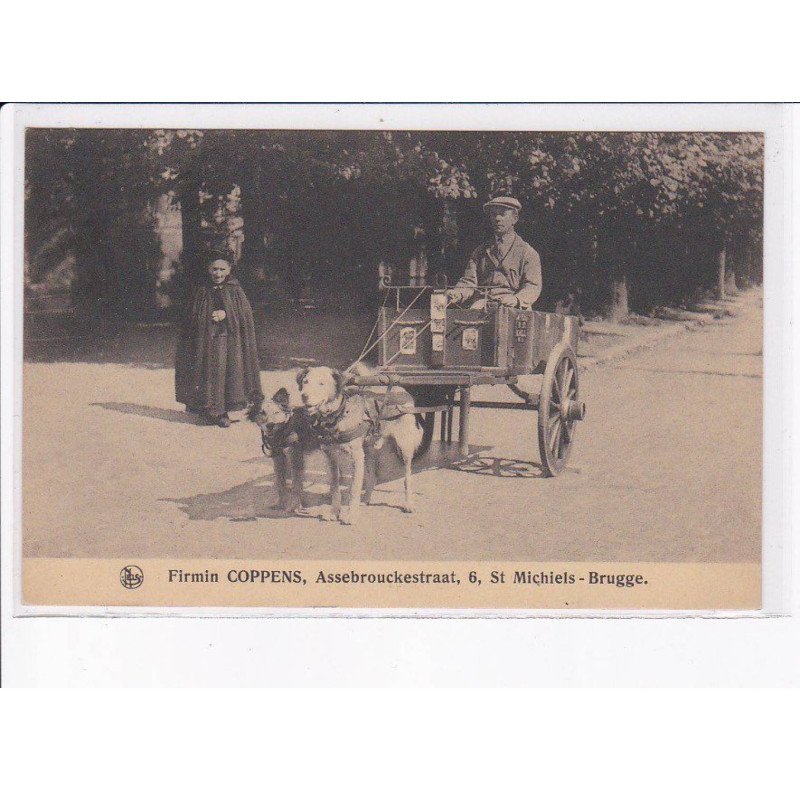BELGIQUE: BRUGGE: voiture à chiein Firmin coppens assebrouckestraat - très bon état
