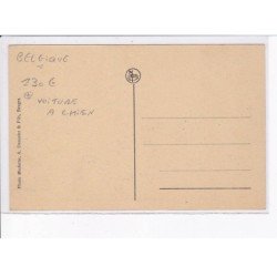 BELGIQUE: BRUGGE: voiture à chiein Firmin coppens assebrouckestraat - très bon état