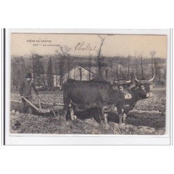 FRANCE : CHATELET : scene du centre, le labourage - tres bon etat