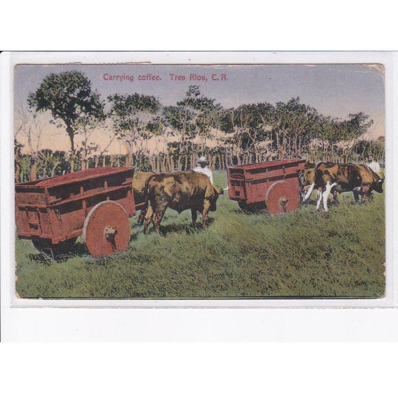 COSTA-RICA: philatelie, carrying coffee, tres rios, attelage boeuf - état