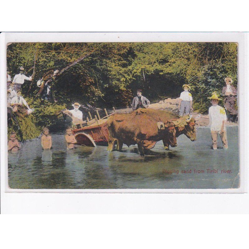 COSTA-RICA: philatelie, attelage boeuf, digging sang from tiribi river - très bon état