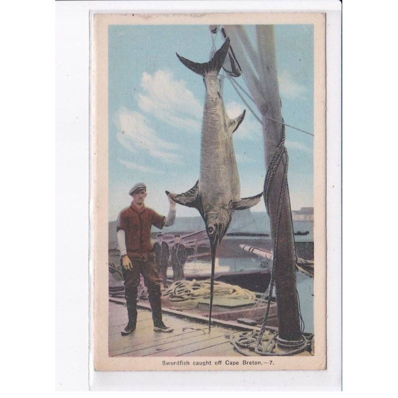 CANADA: NOUVELLE-ECOSSE: CAPE BRETON: swordfish caught off cape breton, pêche espadon - très bon état