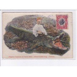 PANAMA: alligator captured at puerto bello 14 foot 6 inches long - très bon état