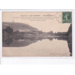 MAREUIL-sur-AY: vignoble "les goisses" - très bon état