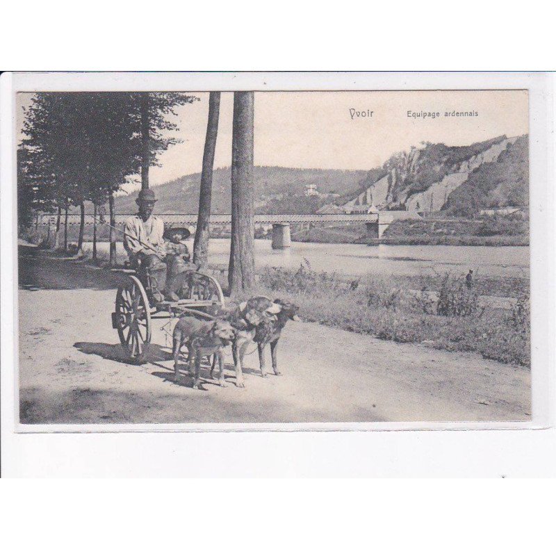 BELGIQUE: NAMUR: YVOIR: équipage ardennais, voiture à chien - très bon état
