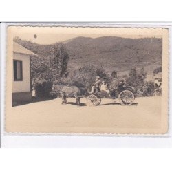 BRESIL: theresopolis, teresopolis, attelage - très bon état