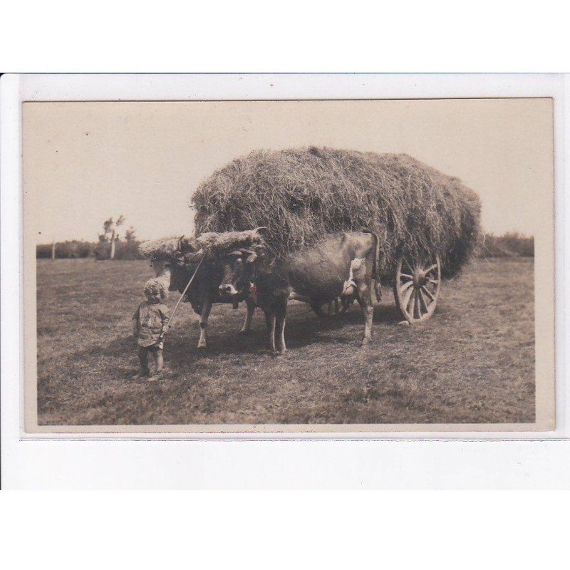 ESPAGNE: ASTURIAS: moisson, agriculture - très bon état