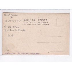 ESPAGNE: ASTURIAS: moisson, agriculture - très bon état