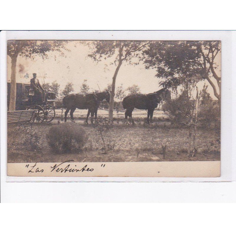 ARGENTINE: attelage - très bon état