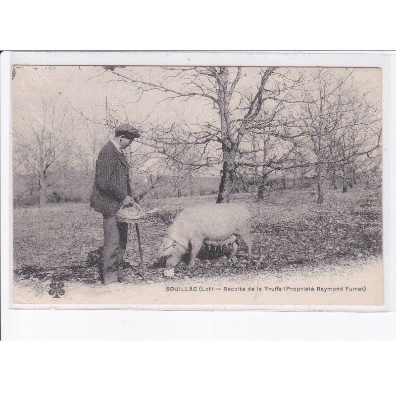 SOUILLAC: récolte de la truffe, propriété raymond fumat - état